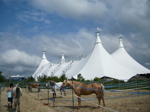 Circo con Arco 01